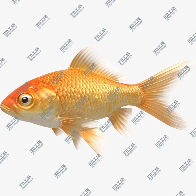 images/goods_img/20210115/Underwater Scene/1.jpg